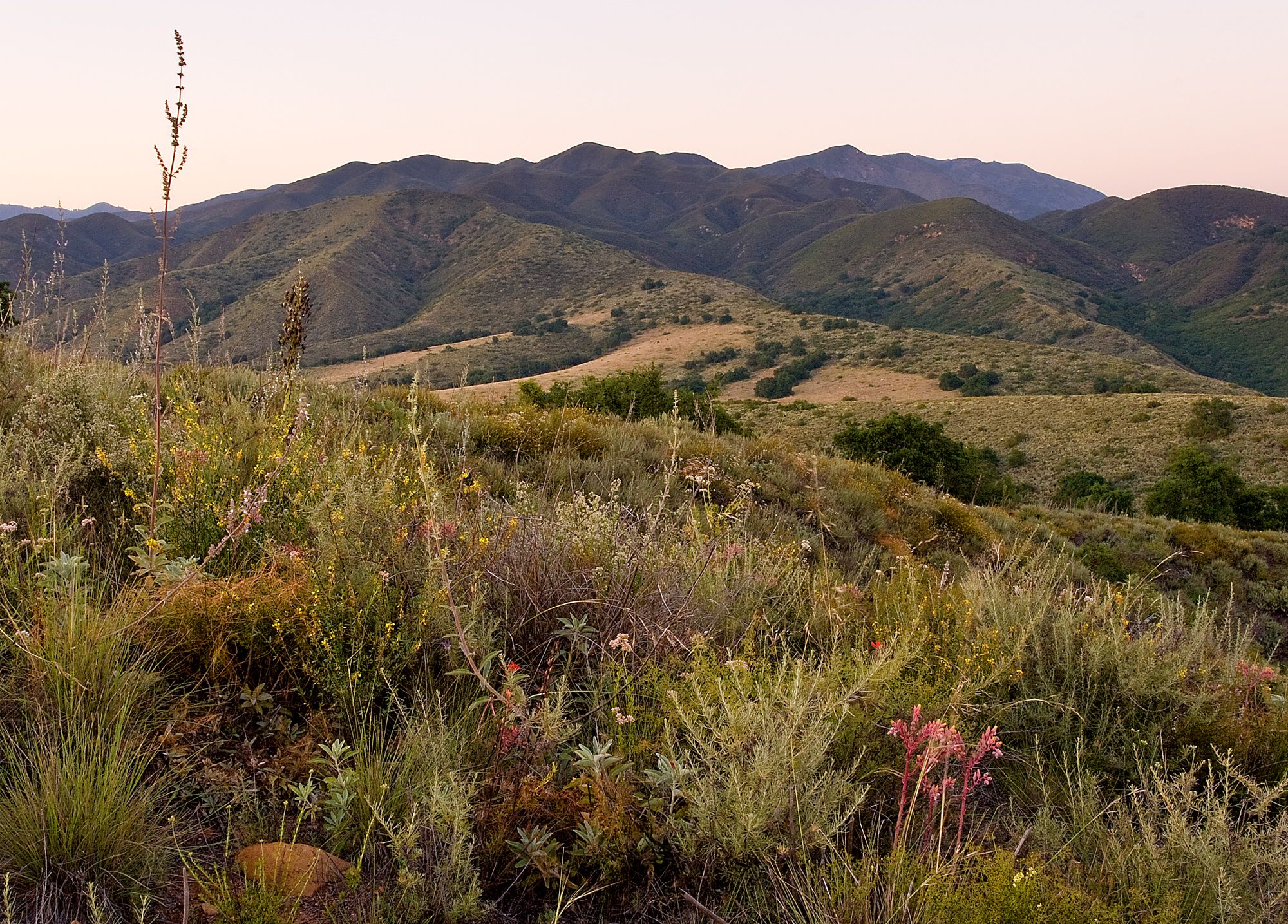 Conserve Habitat & Birds